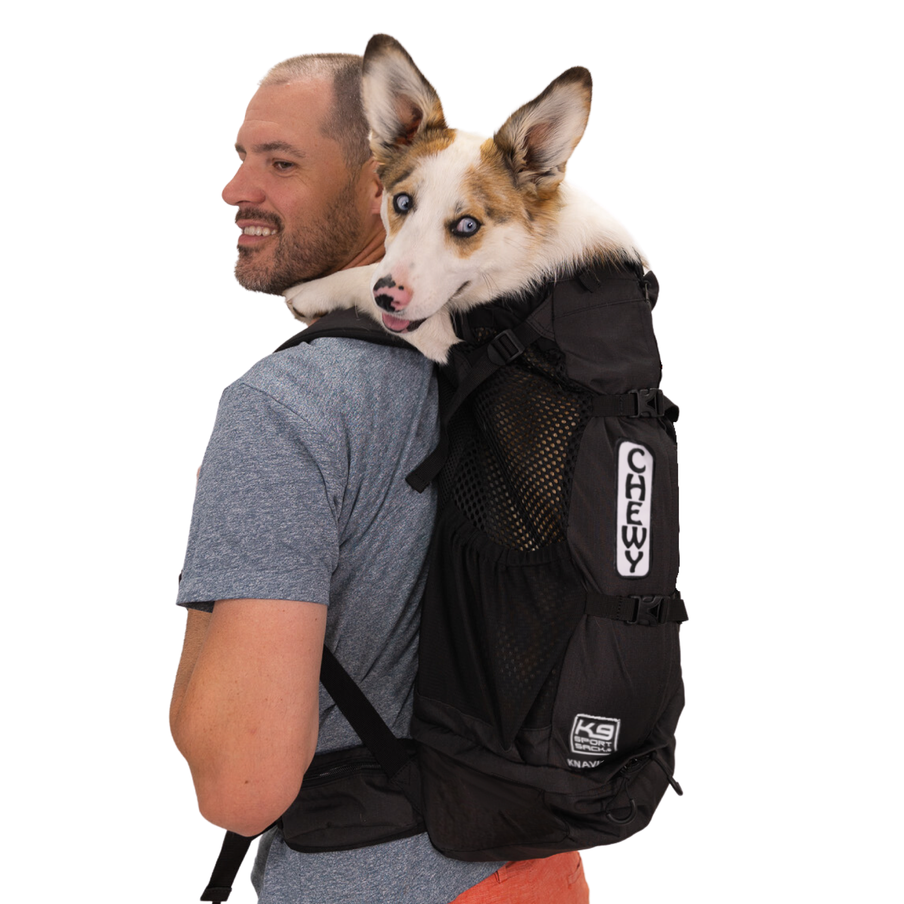 K9 sport top sack sale